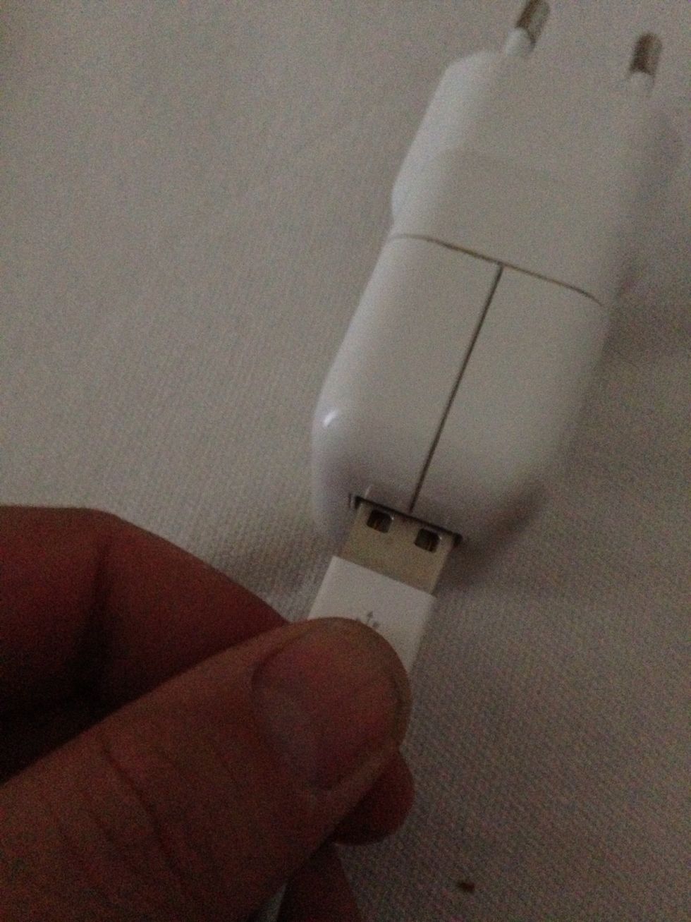 Plug the USB side into the USB charger