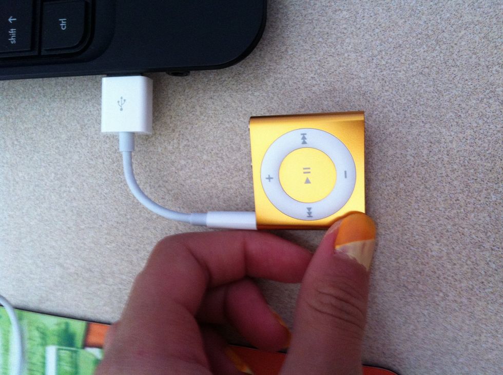 Plug your idevice in
