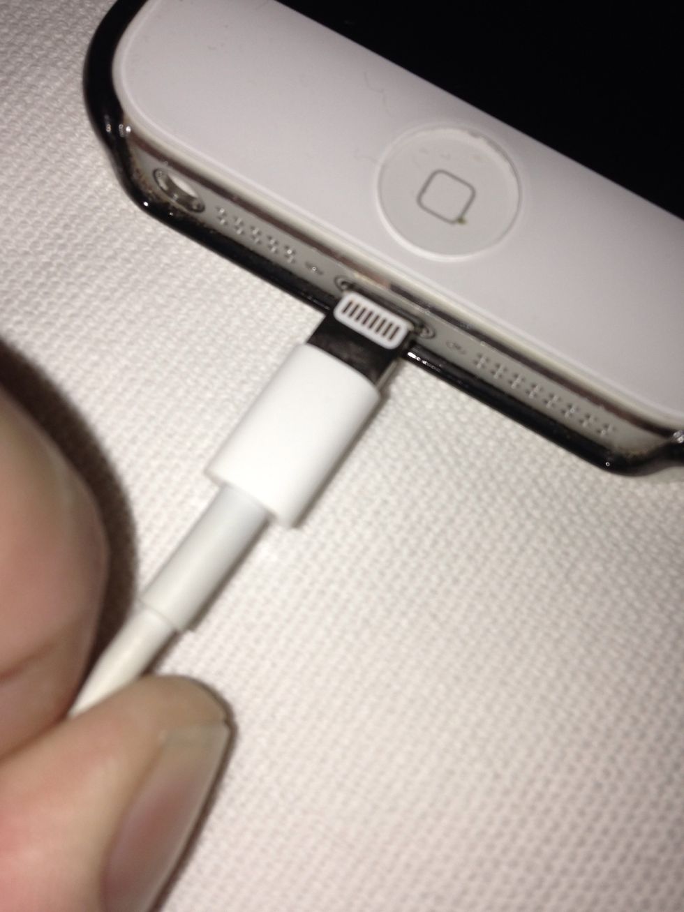 Plugin the lightning or dock connector to your iPhone
