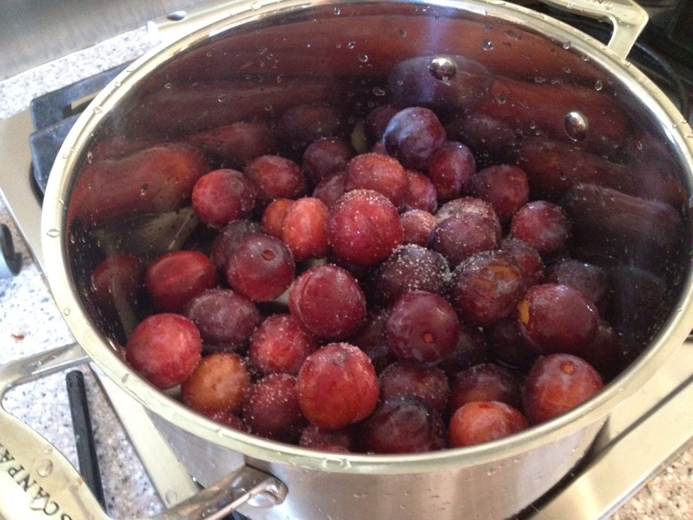 How to make fruit juice with plums B+C Guides