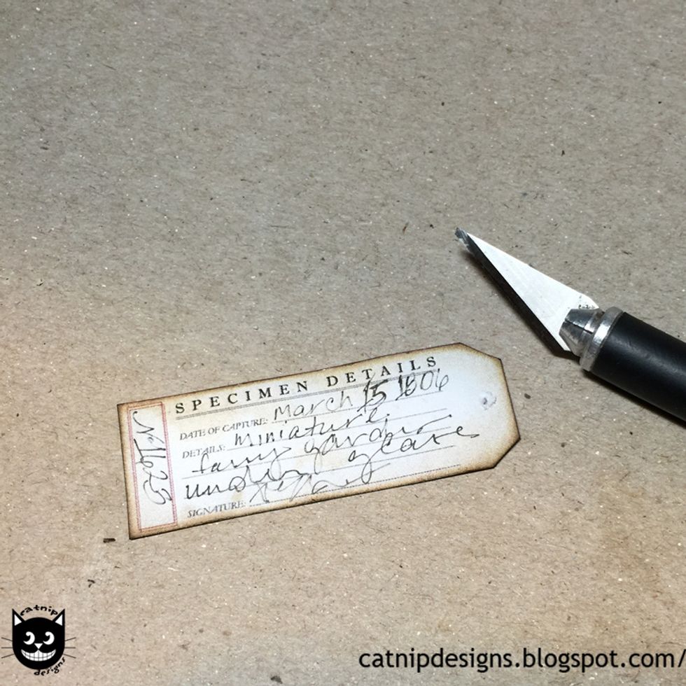 Poke a hole in the specimen tag with a craft knife or pick...