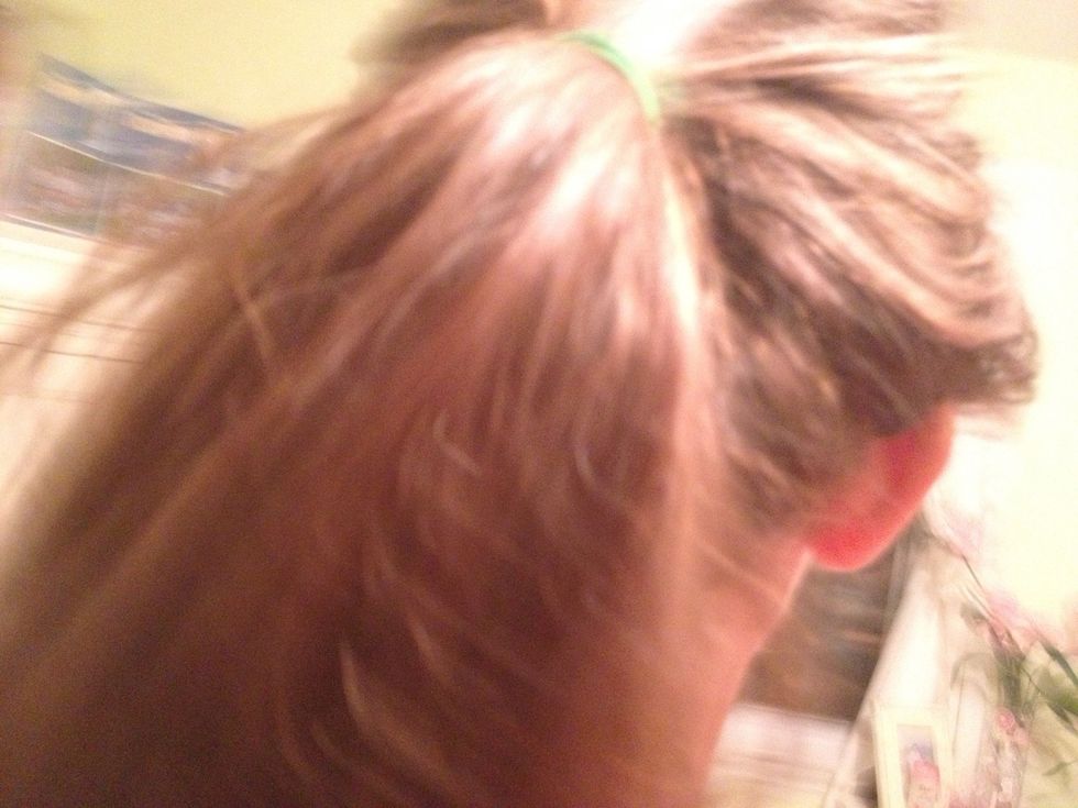 Ponytail (sorry about the blurry pic)