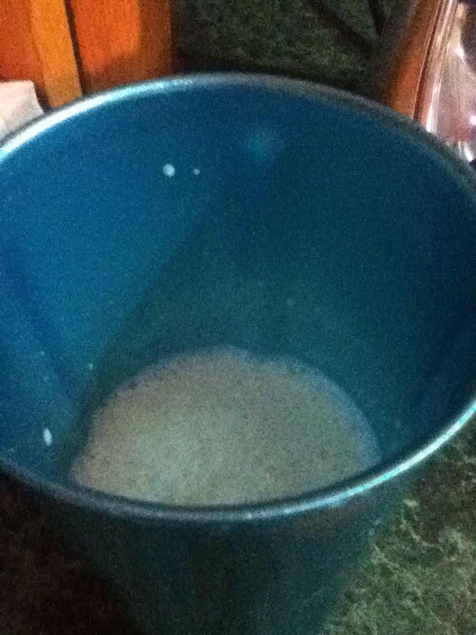 poor heated milk into a milkshake cup