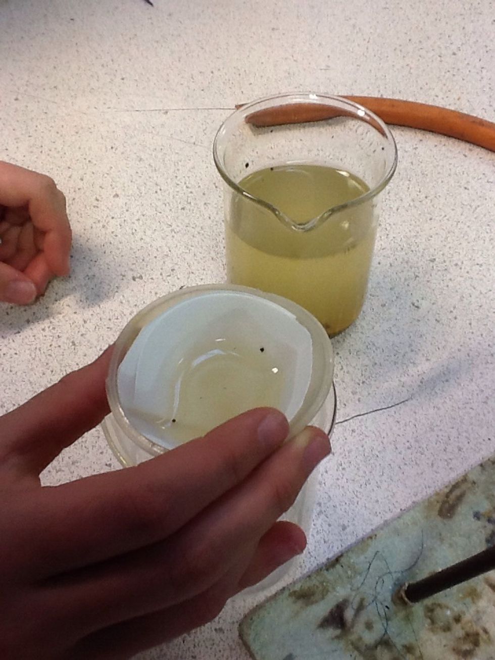 Poor in seawater and wait until it has drained through.