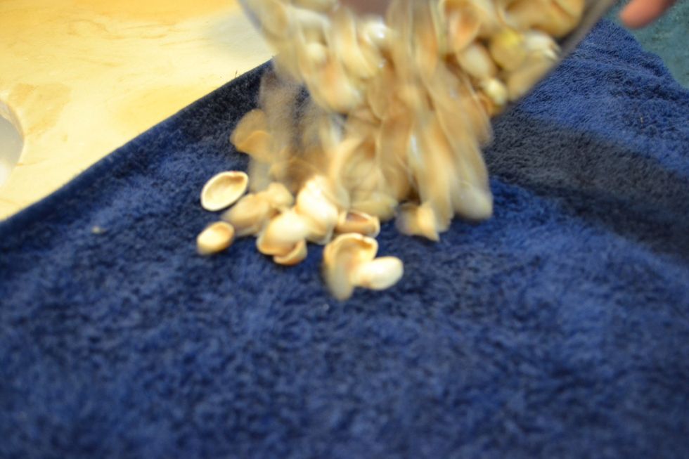 Poor the pistachio shells into the towel