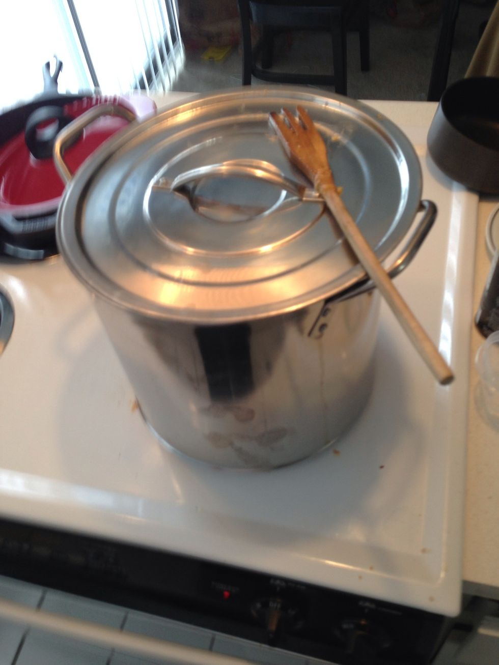Pop a lid on it to heat up. Once it's steaming its time to love on. 5-10 ish.
