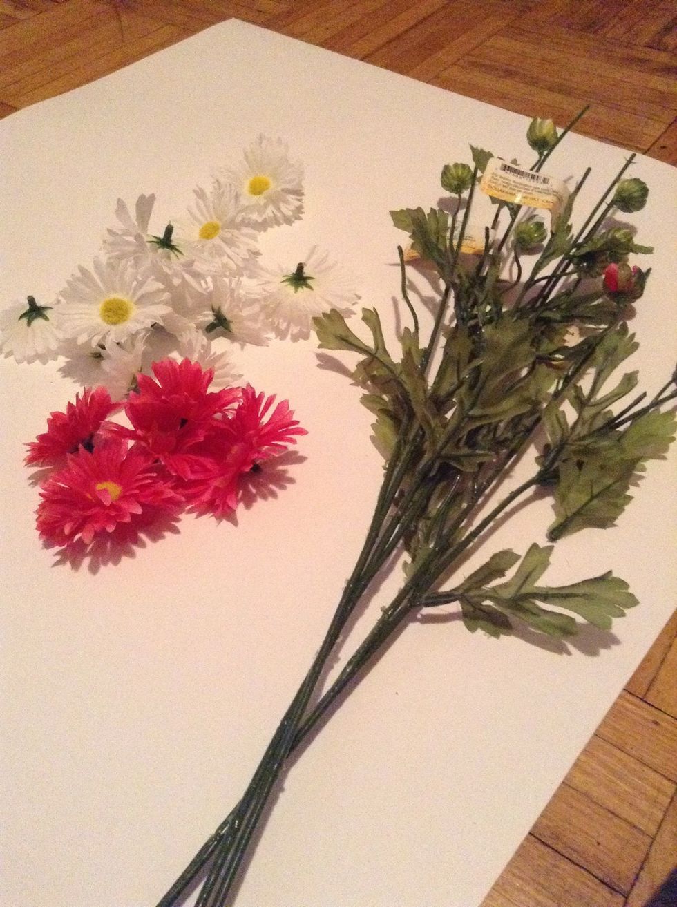 Pop all of the flowers off the stems! Dispose of the stems if you want!