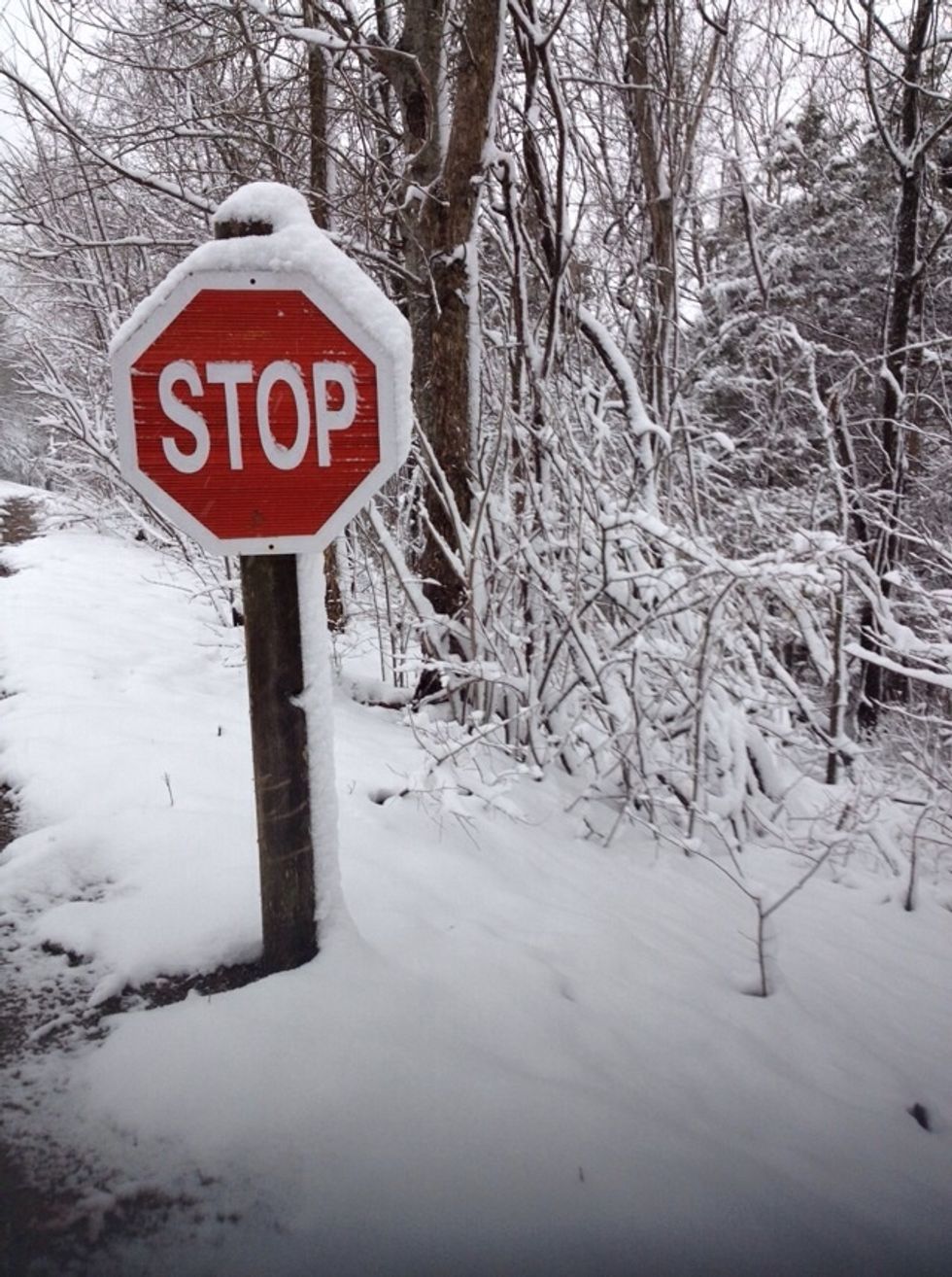 Portraits of your landscape often take on a completely different perspective.