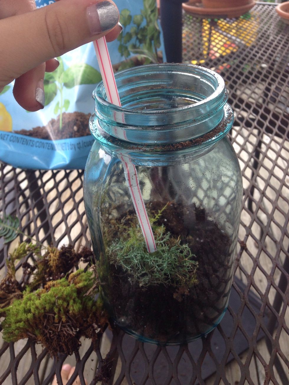 Position the plants inside the jar, I used a straw to move and position the plants inside the jar because the opening was too small for my hand.