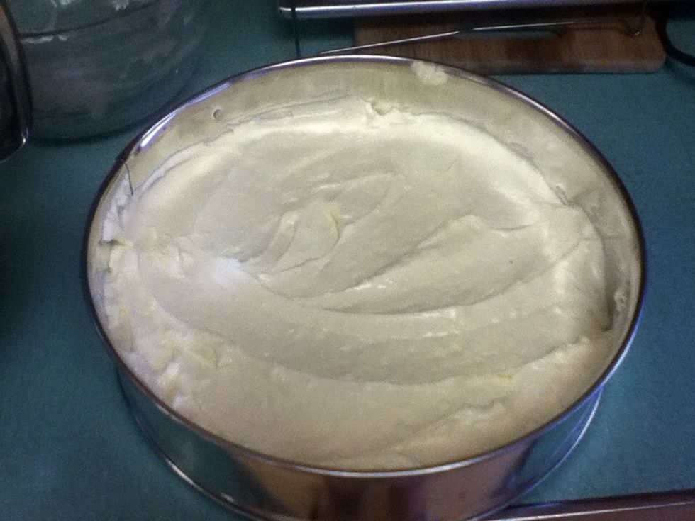 Pour 1/3 of batter into prepared pan