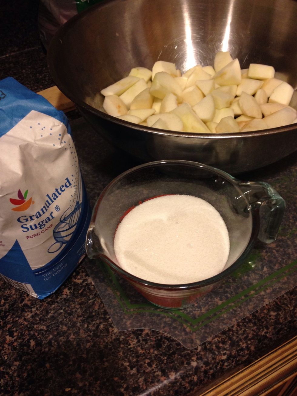 Pour 1 cup of sugar into a measuring cup, then dump it into the bowl.