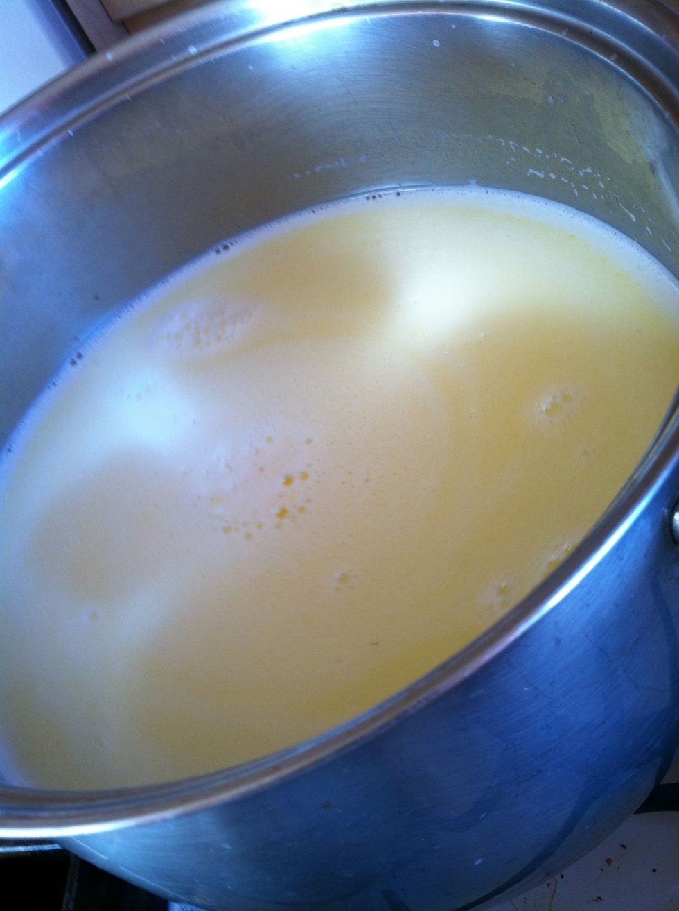 Pour 1 gallon of whole milk into stainless steal pot.