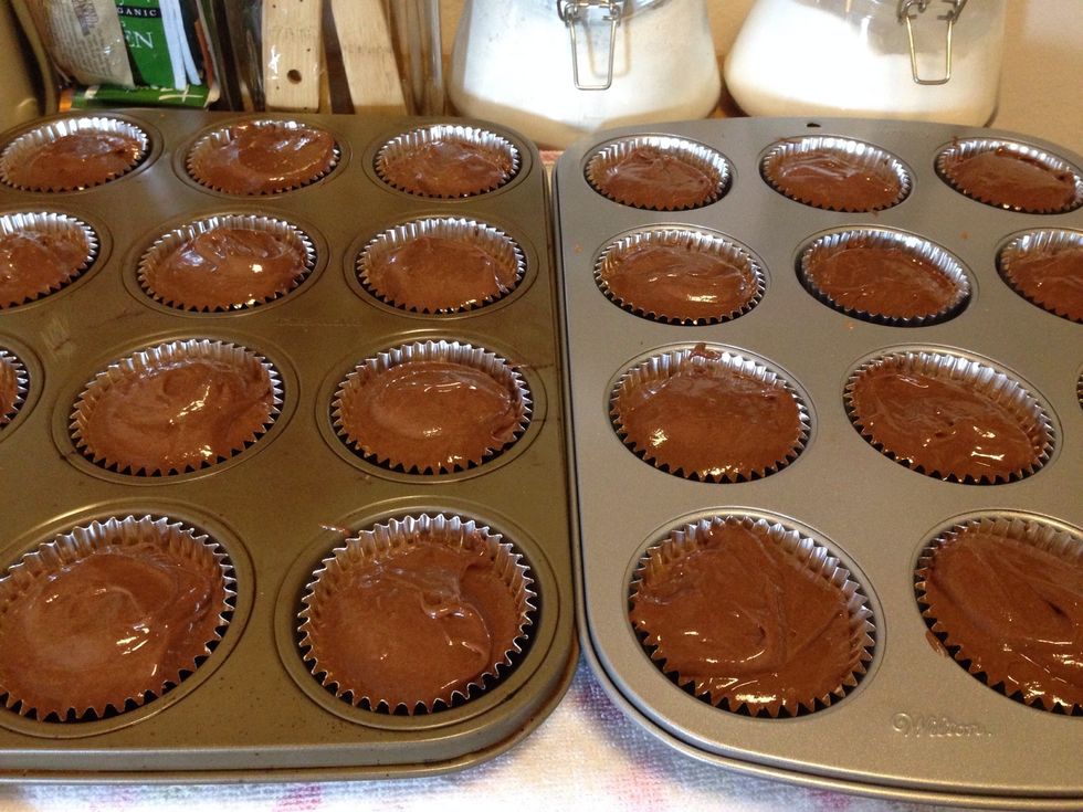 Pour batter into cupcake liners (I use an ice cream scoop to ensure uniform cupcakes) and place in preheated oven on middle rack and bake according to your cake's directions