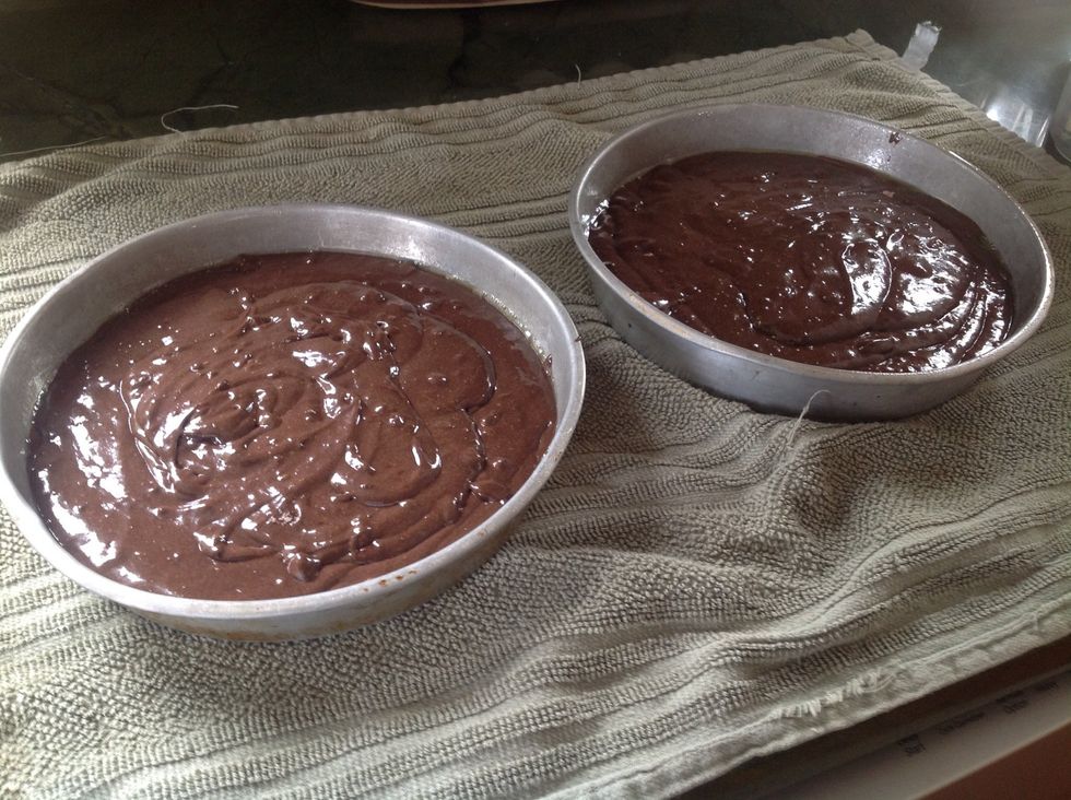 Pour cake batter into the greased pans/pan
