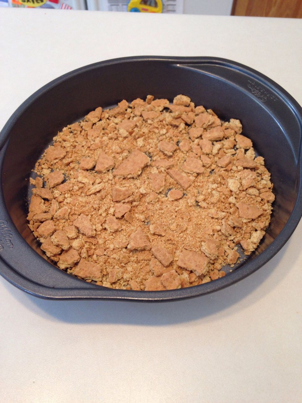 Pour crushed crackers in the bottom of an oven-proof pan.