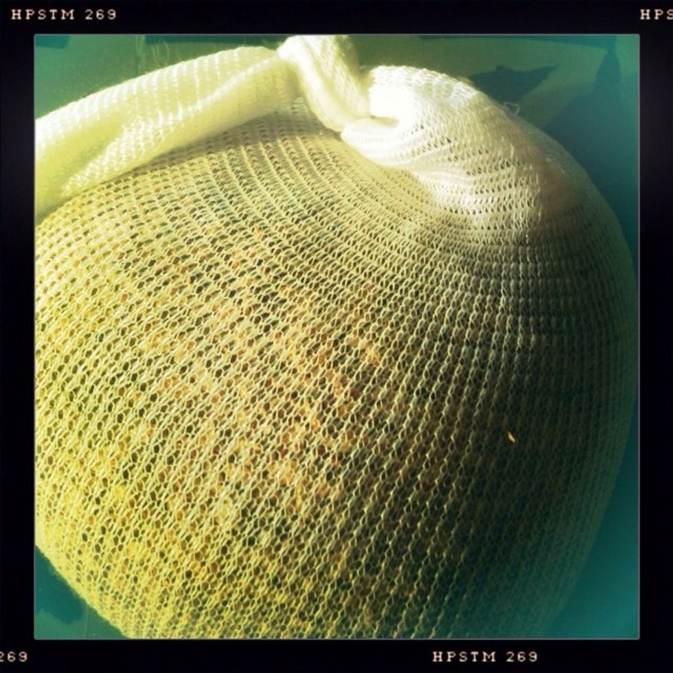 Pour crushed grains into mesh bag and tie a knot on the open end.