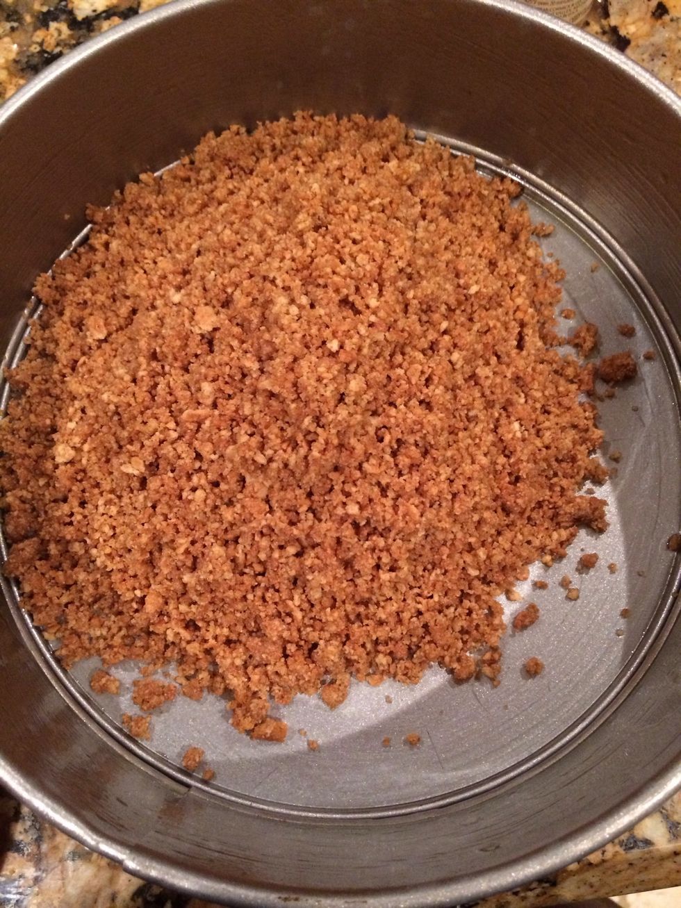 Pour graham cracker mixture into cheesecake pan