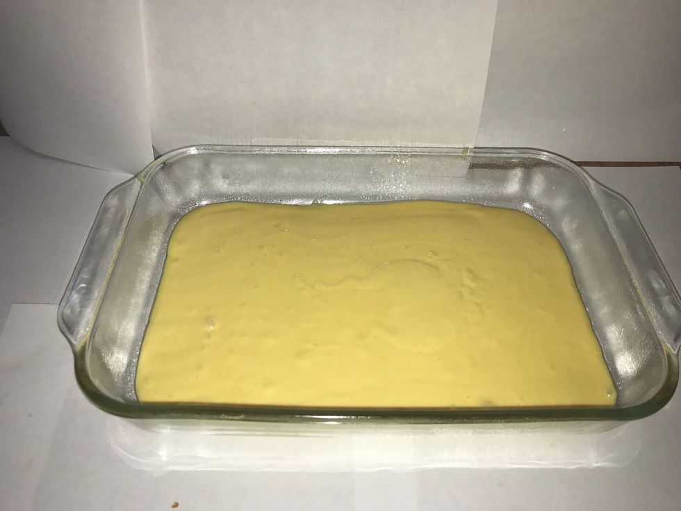 Pour half of batter into pan
