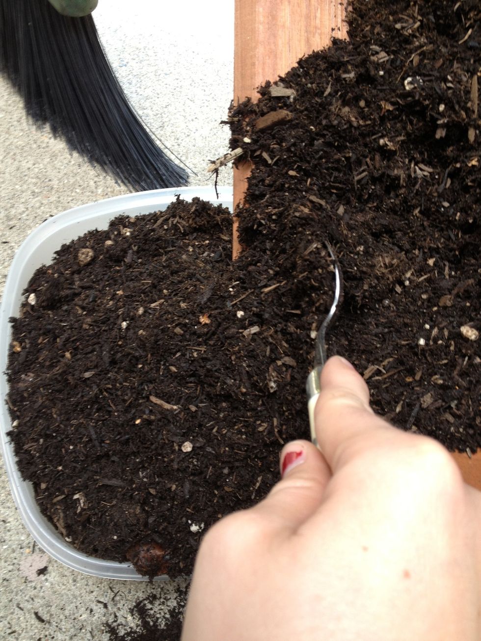 Pour half the soil into a container like this Tupperware I had.