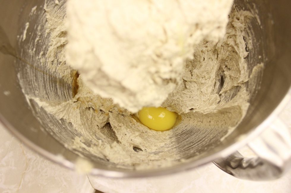 Pour in your 2nd egg and mix until well incorporated.