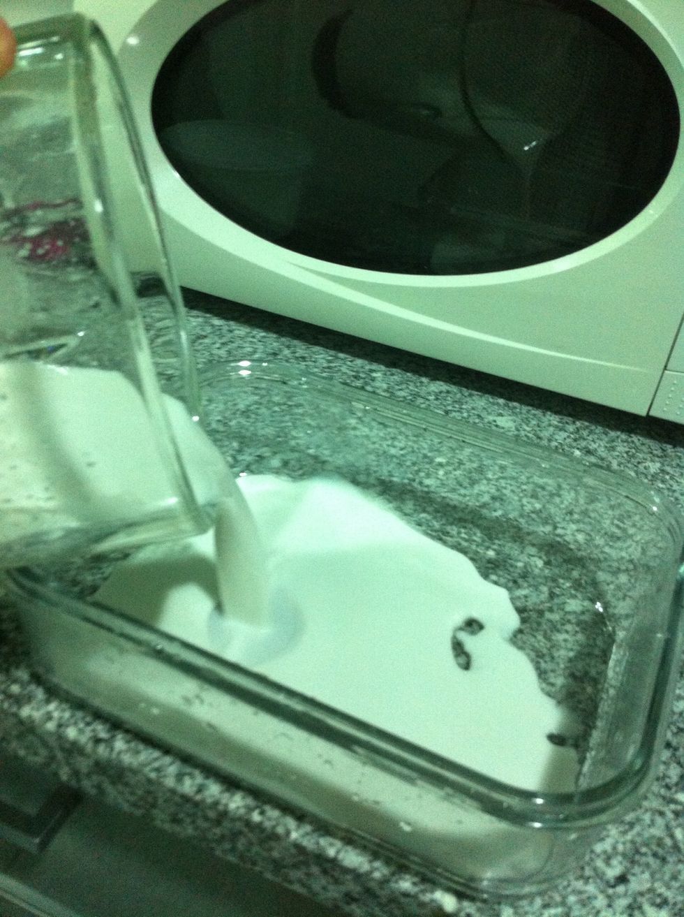 Pour into a container with lid that can go to the freezer (thats if you dont have an ice cream maker, in this case, just let the machine do the magic!)