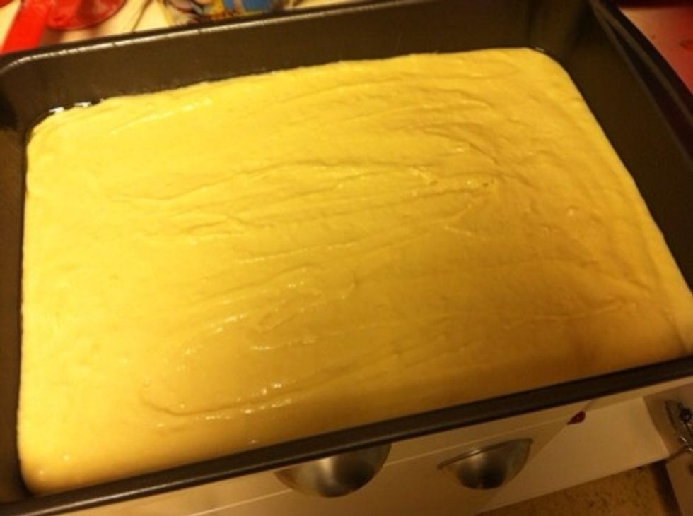 Pour into greased 9x13 pan and spread evenly.