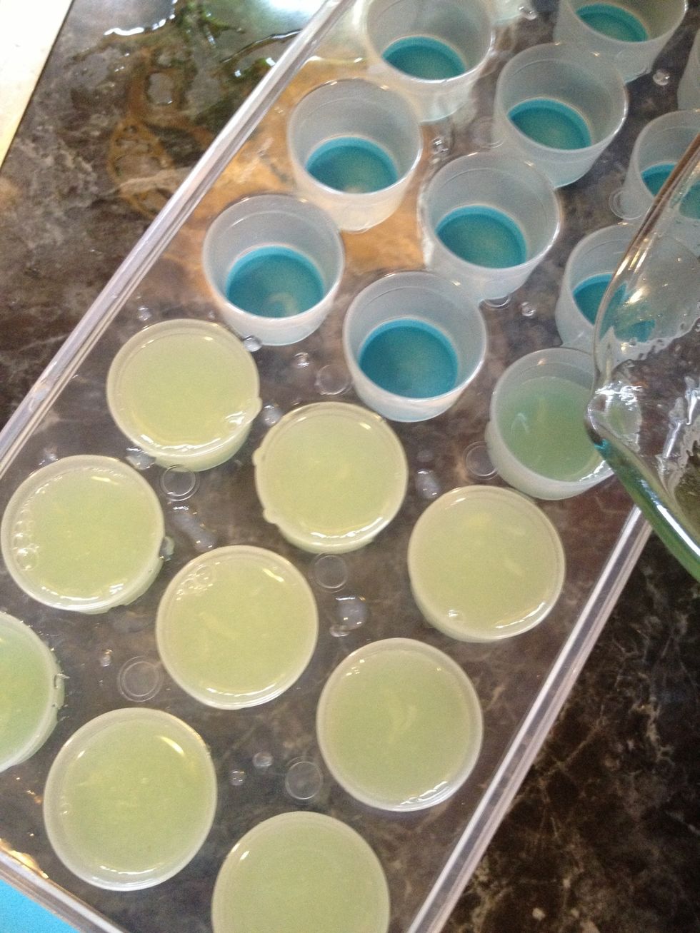 Pour lemon or lime juice In ice cube trays and freeze.