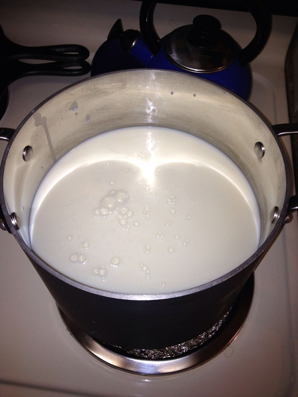 Pour milk into 12 qt pot and bring milk up to and hold at 90F