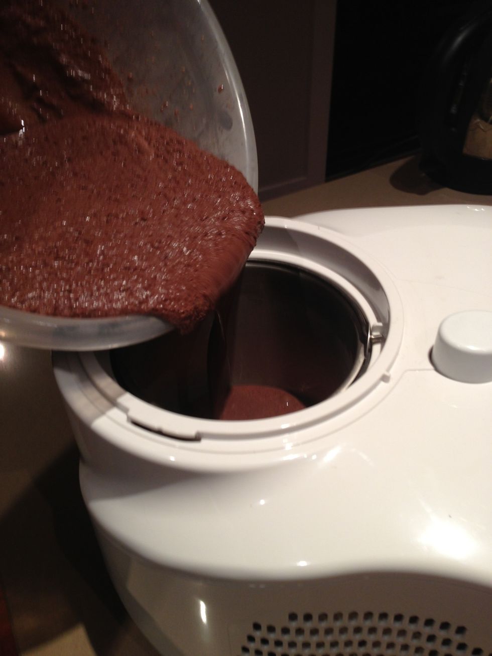 Pour mixture into ice cream maker