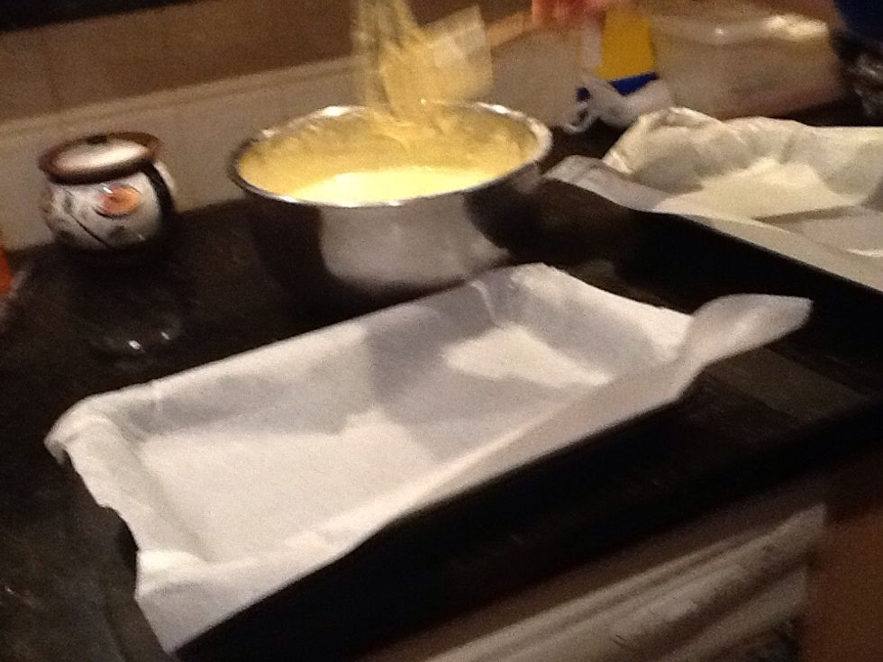 Pour mixture into tray with baking paper