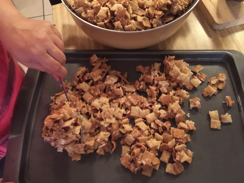 Pour mixture onto two cookie sheets
