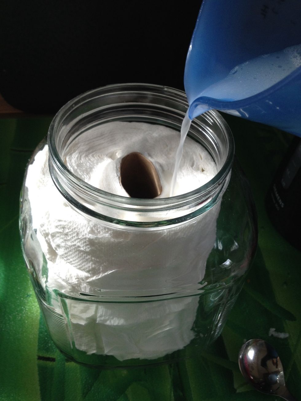 Pour mixture over the paper towl