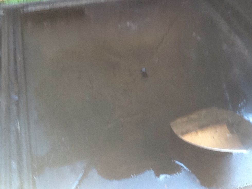 Pour oil onto the barbecue.