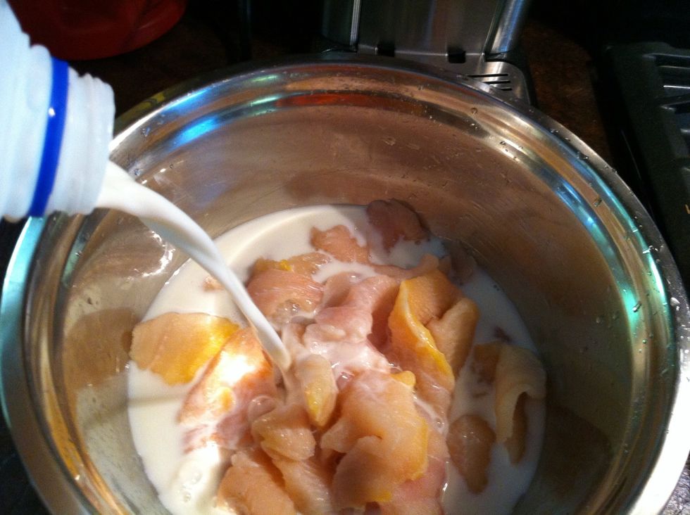 Pour over just enough milk to cover. You can use buttermilk or cream. As long as it has fat in it. The fat takes the game taste and makes the fish tender and flaky.