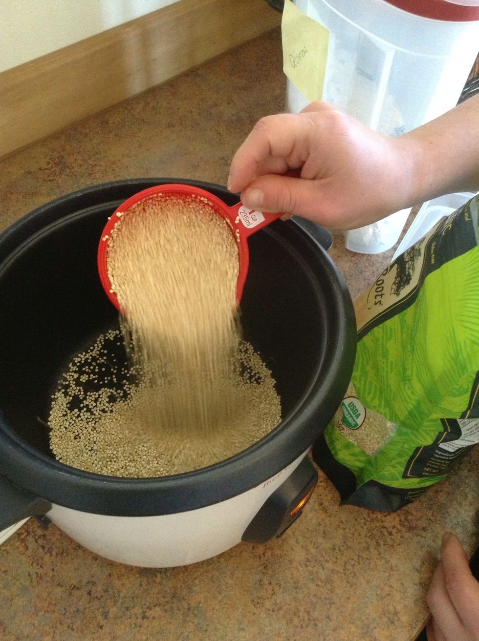 Pour quinoa into rice cooker