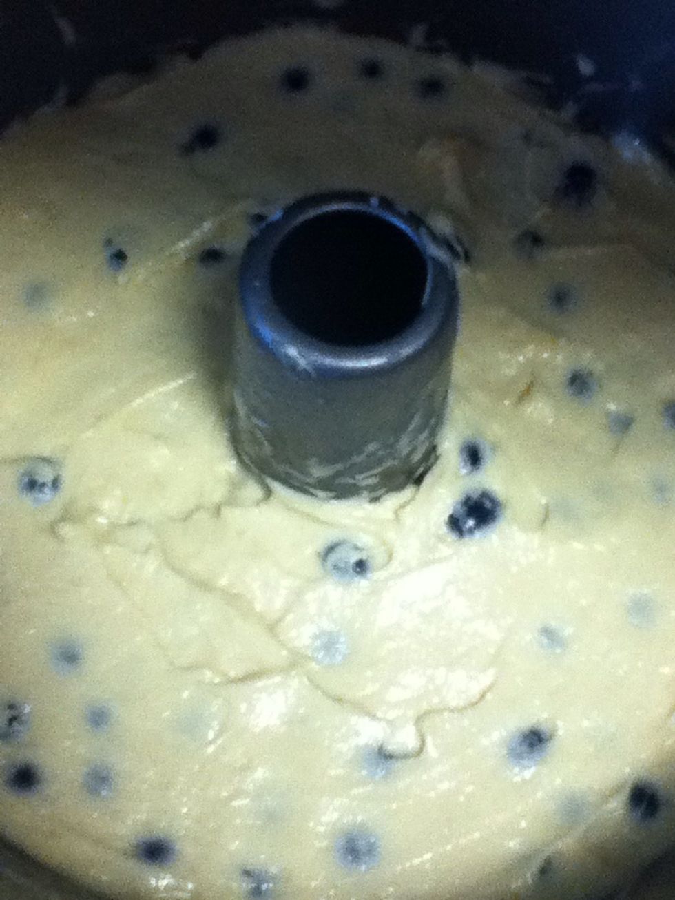 Pour remaining batter over the blueberries and spread evenly over.