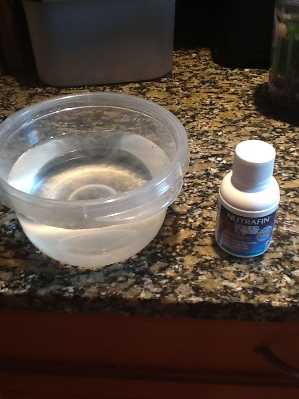 Pour room temperature water in to a small bowl and tab the conditioner