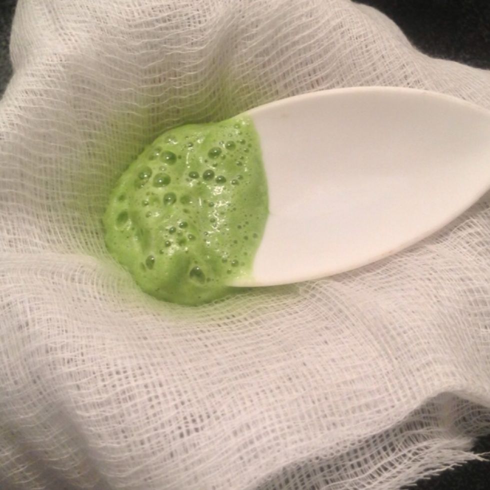 Pour small amounts of the blended wheatgrass on the cheesecloth. While holding cloth in place, use a spoon/spatula to press mixture so that juice flows through the cloths. Repeat until complete.
