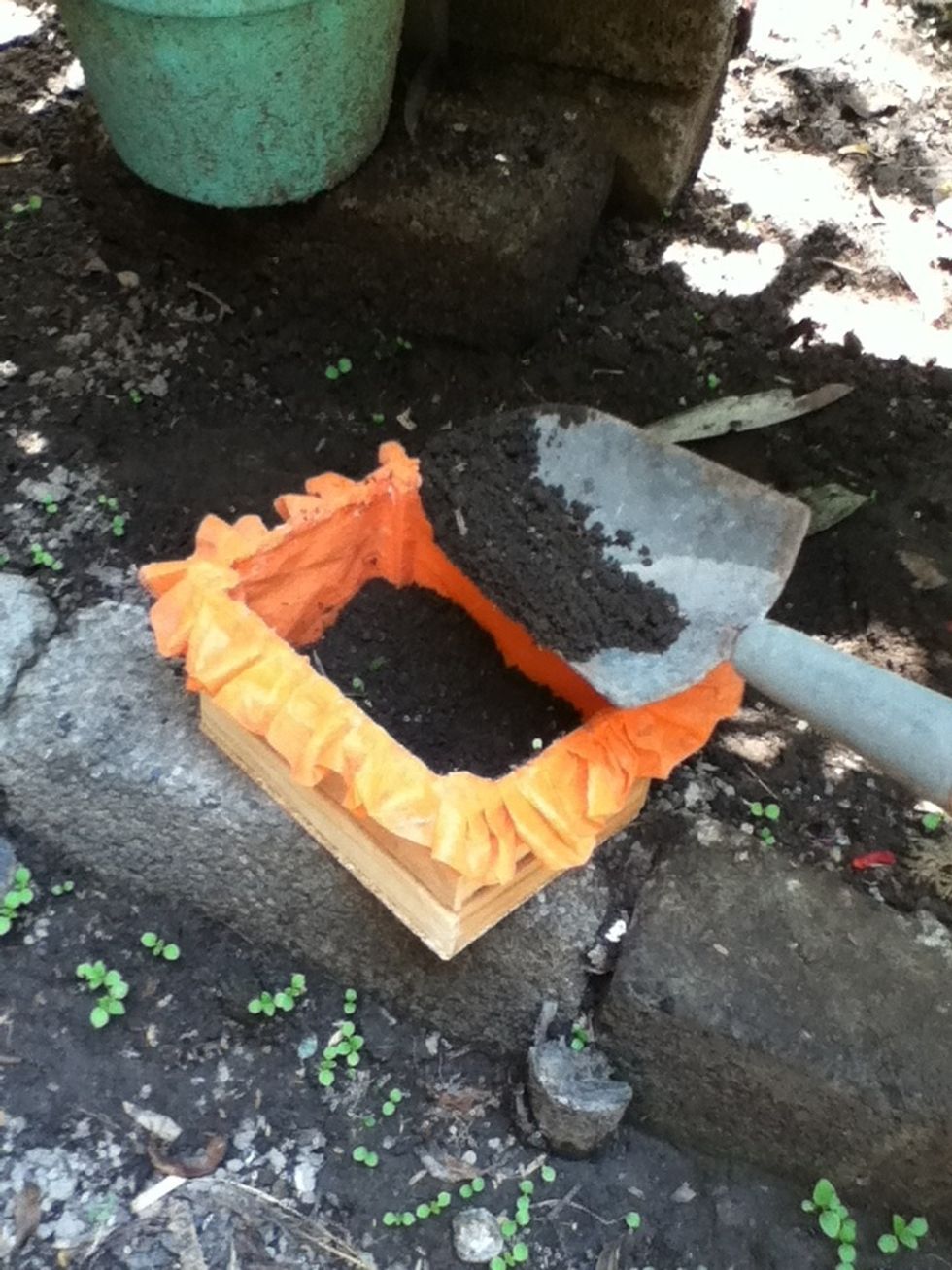 Pour some earth into the cage