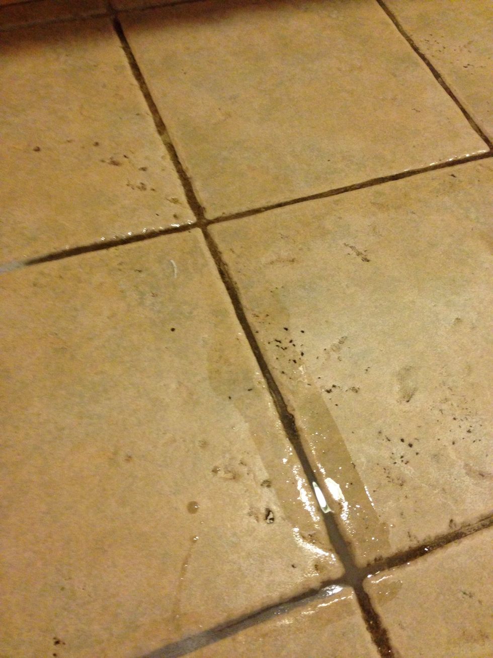 Pour some peroxide on the grout and let it sit for few mins