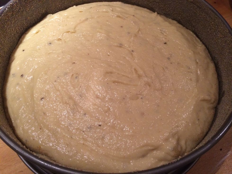 Pour the batter into the springform.