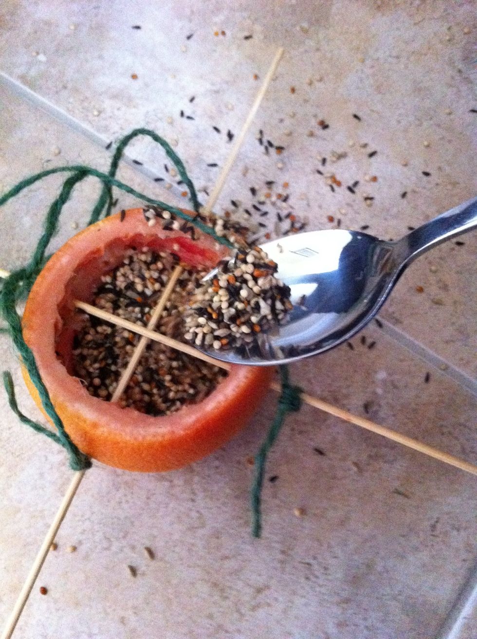 Pour the bird food into your feeder.