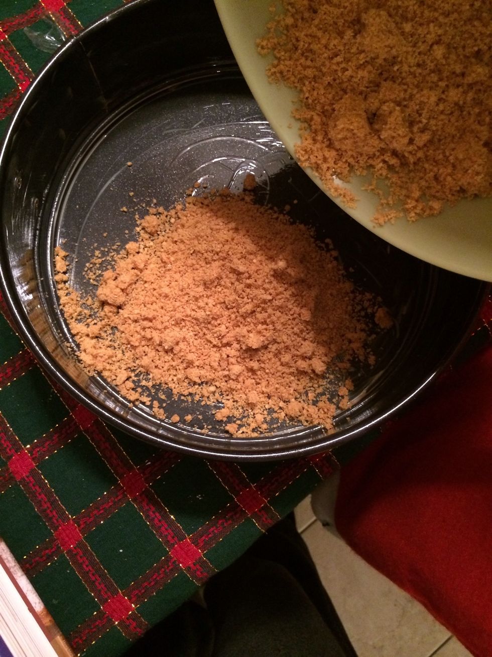 Pour the crumb mixture onto your buttered springform pan