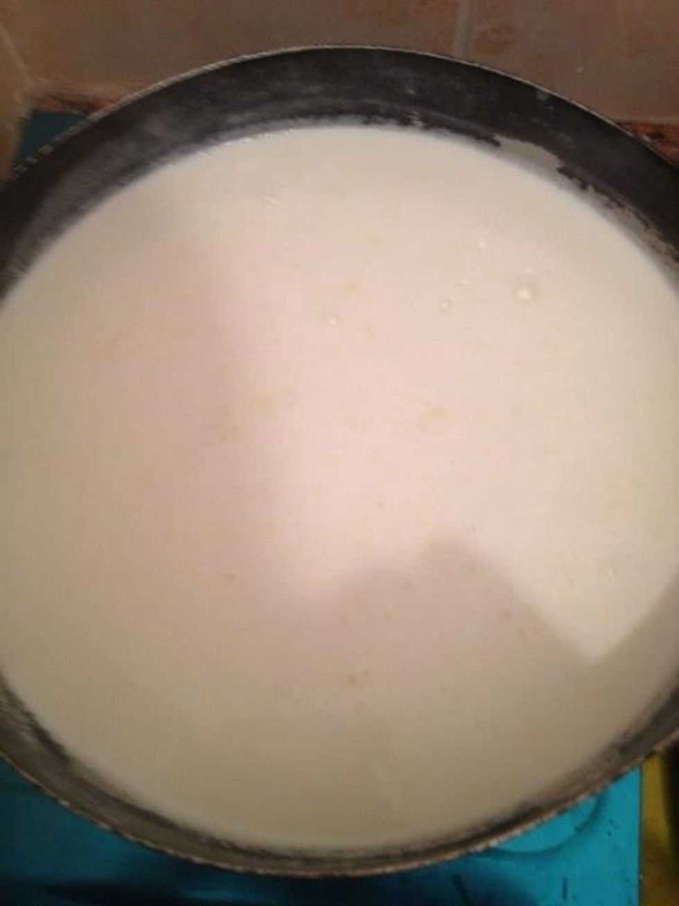 Pour the milk into the saucepan and bring it to a rolling boil over high heat