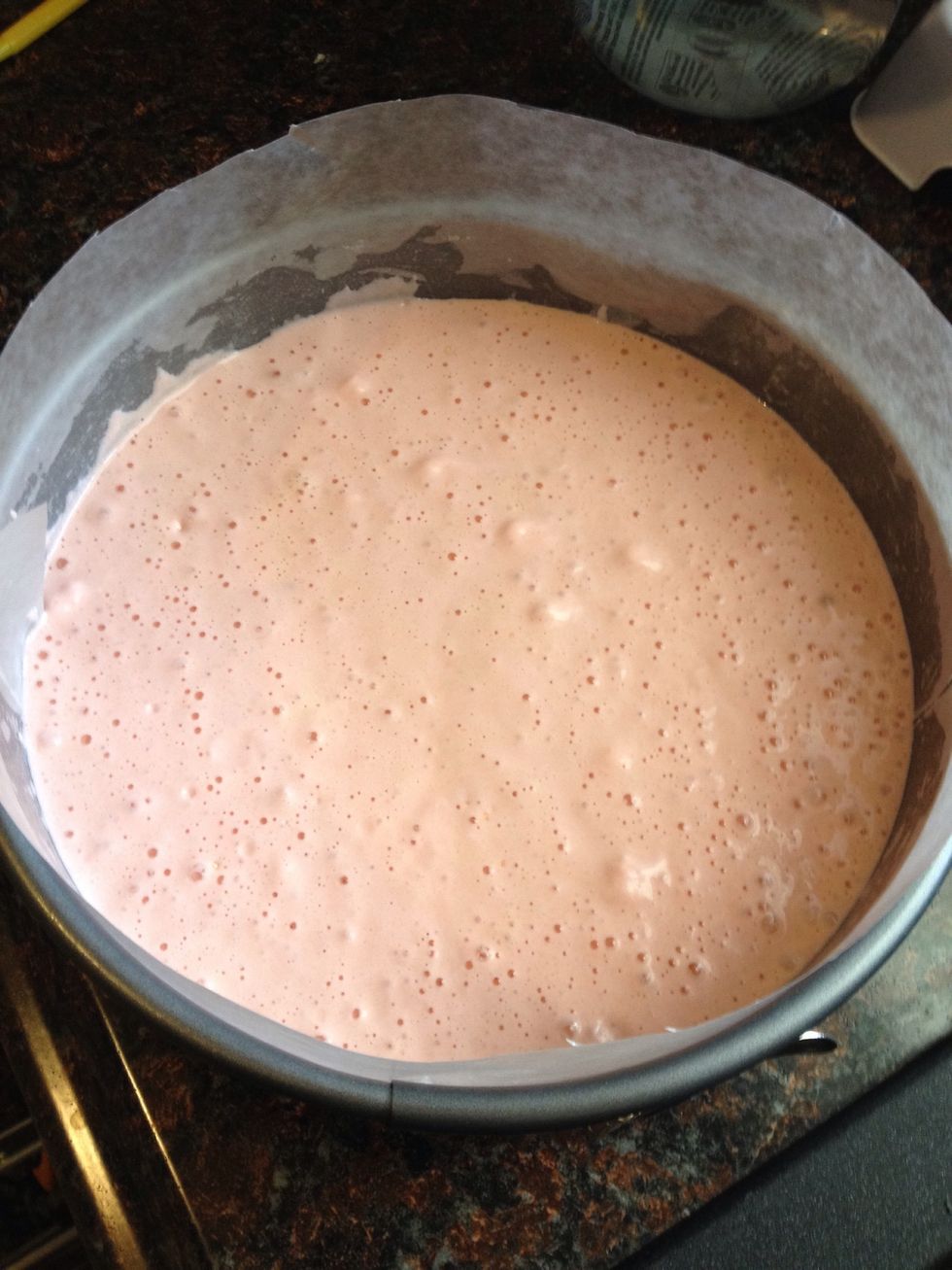 Pour the mixture into a cheese cake pan