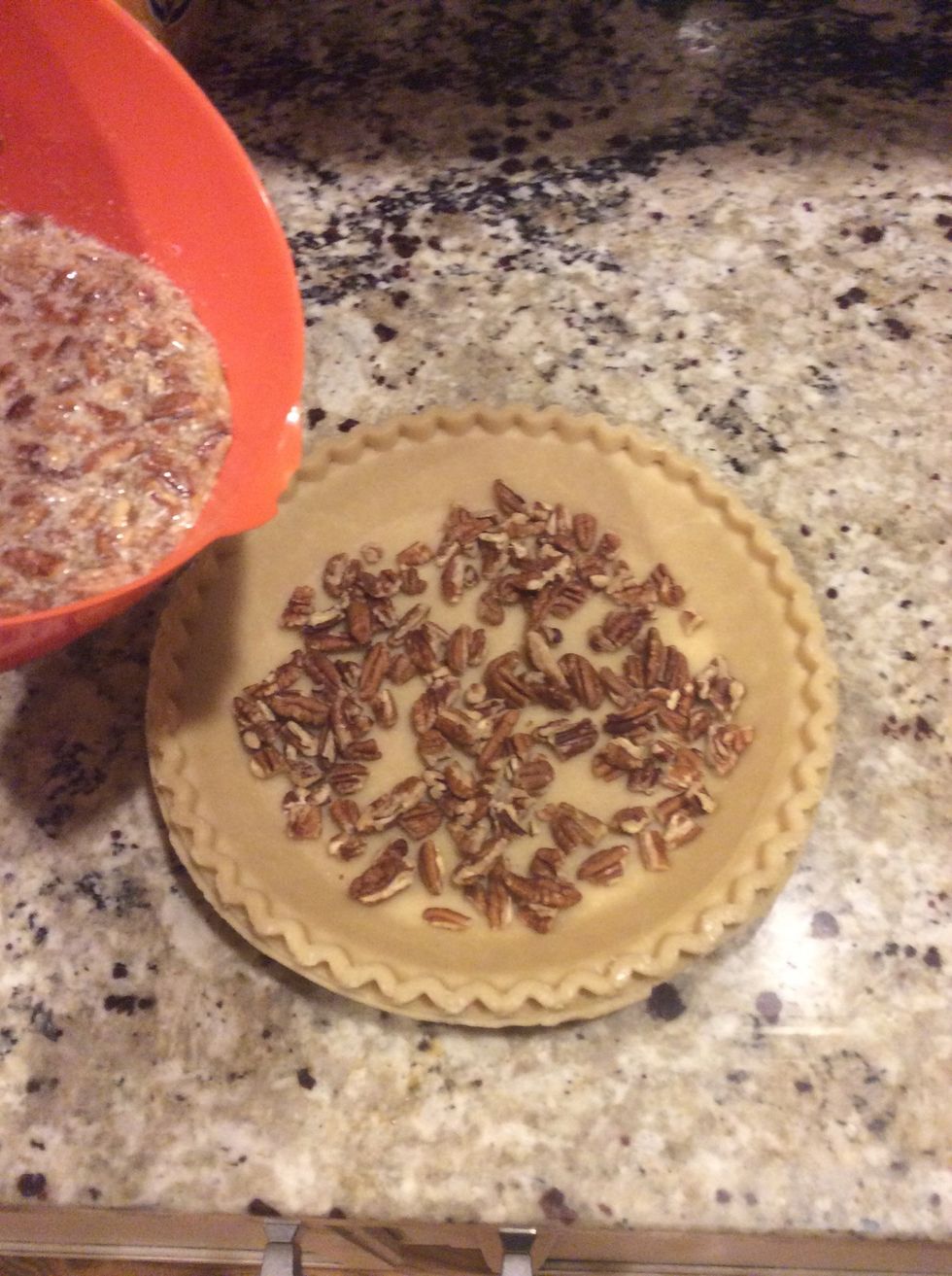Pour the mixture into the pie crust already layered with pecans on the bottom