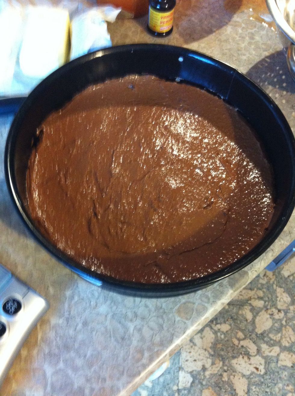 Pour the mixture into the prepared tin and level the surface.