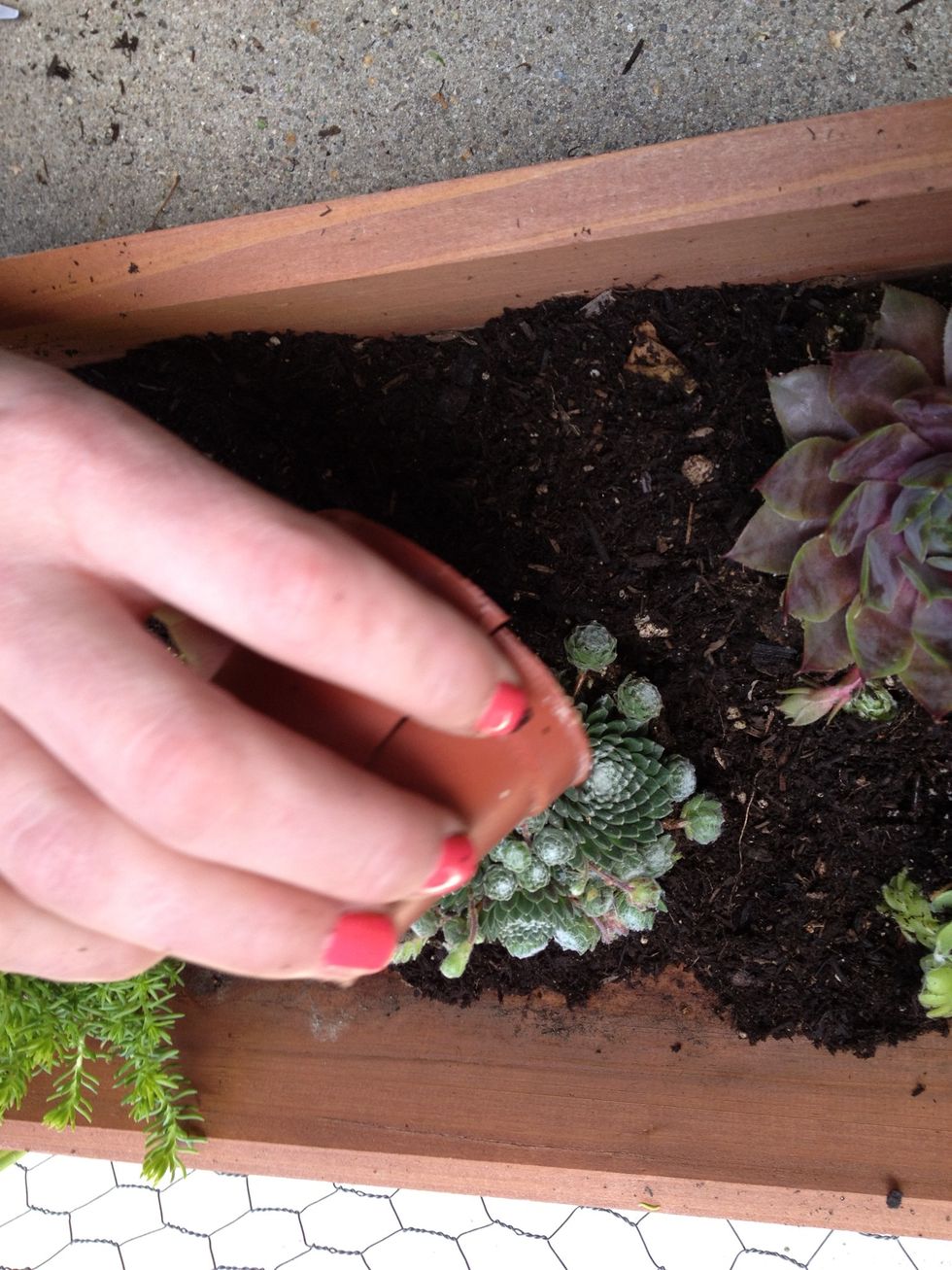 Pour the rest of the soil back to fill the planter.
