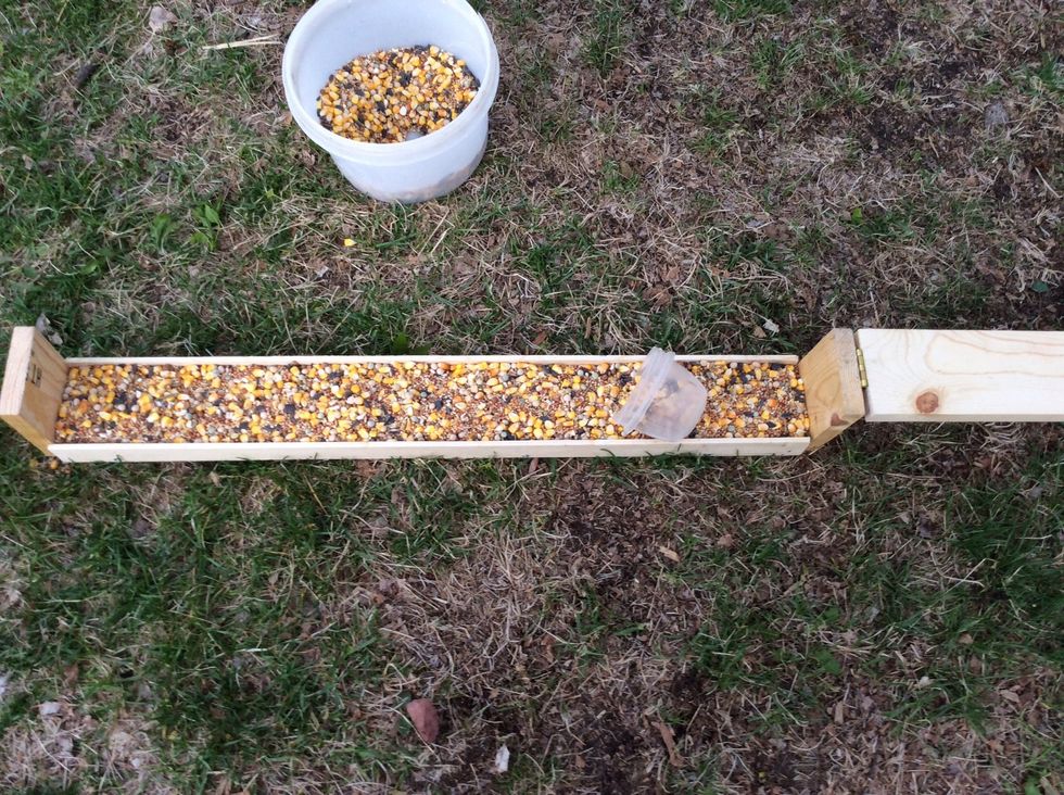 Pour the seeds in the container into the feeding tray.