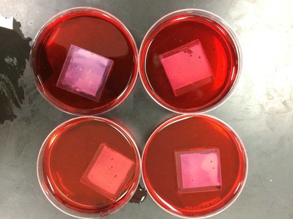 Pour the solution in a Petri dish. Place the TiO2 coated conductive glass face down in the solution for 15 minutes.